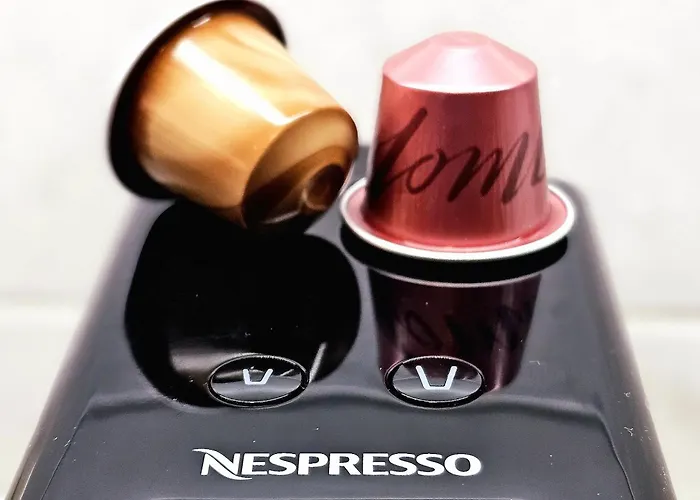 Next To Gondola Stylish And Charming * 班斯科